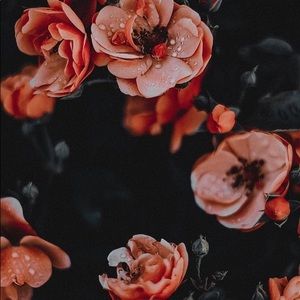 Meet your Posher, Junelly